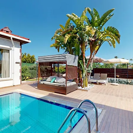 Butterfly By Holidaykeys