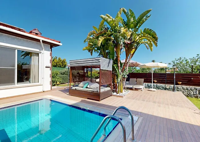 Butterfly By Holidaykeys